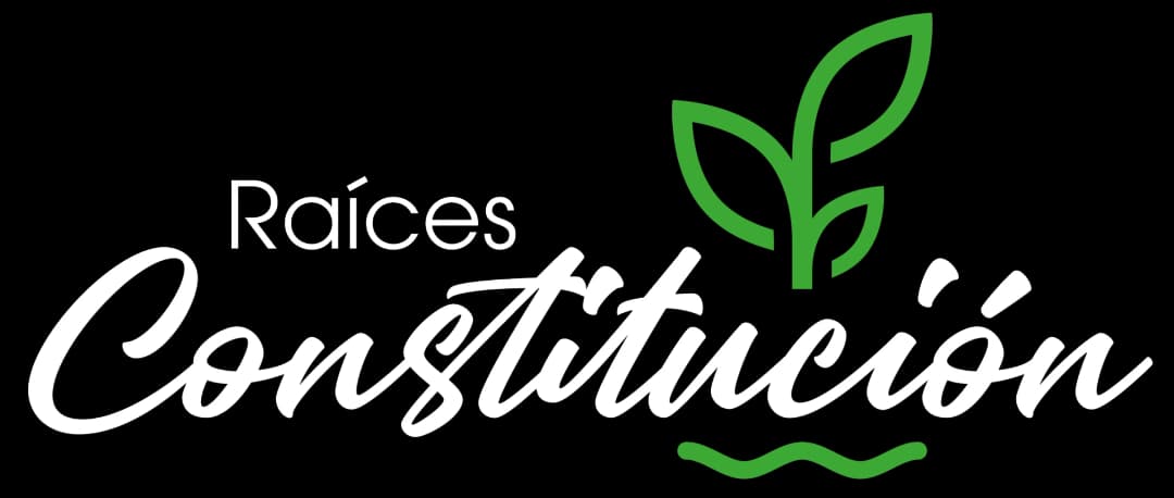 logo-Raíces Constitución
