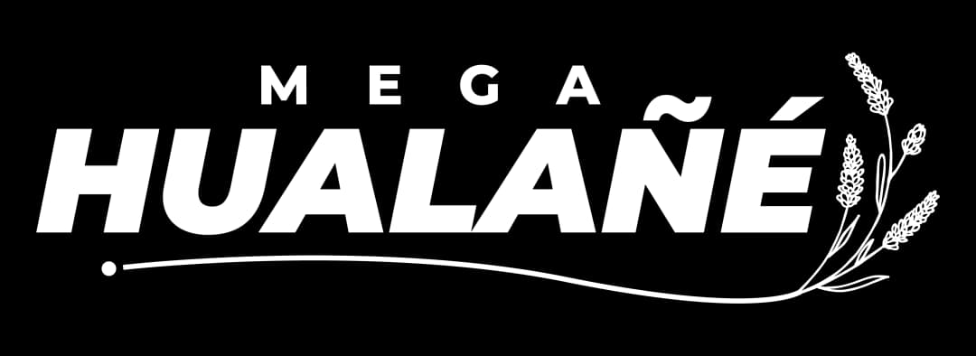 logo-Mega Hualañé